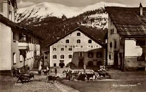 Ak Zuoz Kt. Graubünden Schweiz, Ziegenherde, Brunnen, Dorfplatz