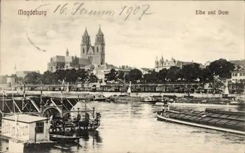 Ak Magdeburg in Sachsen Anhalt, Elbe, Dom