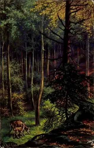 Künstler Ak Waldpartie, Rehe
