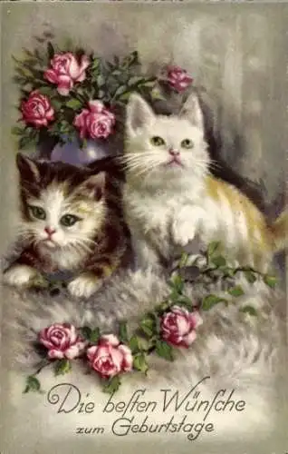 Ak Glückwunsch Geburtstag, Katzen, Rosen