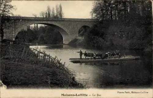 Ak Maisons Laffitte Yvelines, Le Bac, Fähre, RInder