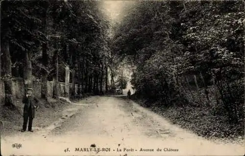 Ak Marly le Roi Yvelines, Wald, Waldweg, Avenue du Chateau