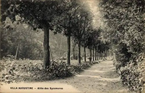 Ak Nogent sur Marne Val de Marne, Villa Augustine, Allee des Sycomores