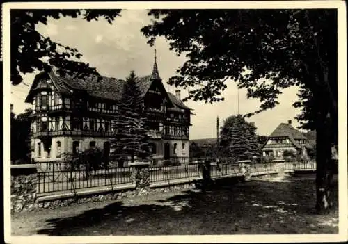 Ak Bad Salzungen in Thüringen, Historische Gebäude, Altstadtvilla, Bäume, Straße, Schwarzweißfoto