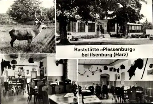 Ak Ilsenburg am Nordharz, Raststätte Plessenburg, Hirsch, Geweihe, Innenansicht