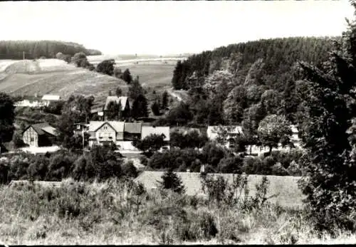 Ak Trautenstein Oberharz am Brocken, Landschaft mit Häusern, Bäume, Hügel, Försterei