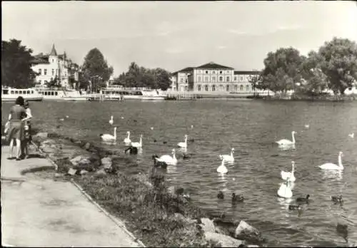 Ak Schwerin in Mecklenburg, Schlosspark, Schwäne, Boote, Landschaft, schwarz-weiß Fotografie