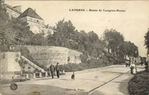 Ak Langres Haute Marne,  Route de Langres-Marne, Hund auf Straße, zwei Personen,  Landschaft
