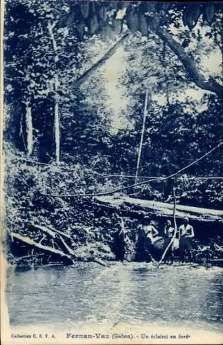 Ak Fernan Vaz Gabun, an der Lichtung im Wald