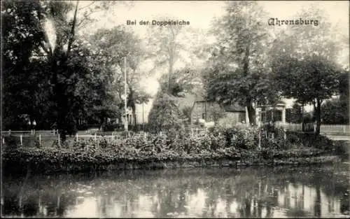 Ak Ahrensburg in Holstein, bei der Doppeleiche
