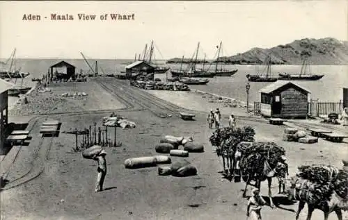 Ak Aden Jemen, Blick auf den Hafen, beladene Kamele, Anker, Frachtgut
