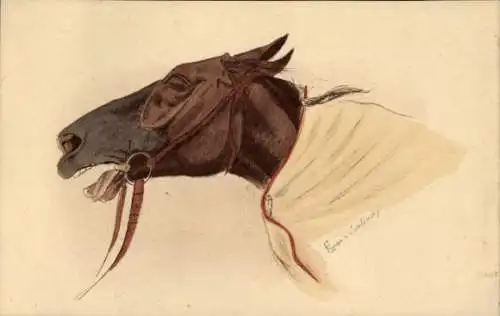 Künstler Ak Rennpferd Portrait