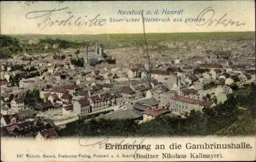 Ak Neustadt an der Haardt Neustadt an der Weinstraße, Gesamtansicht, Steinbruch