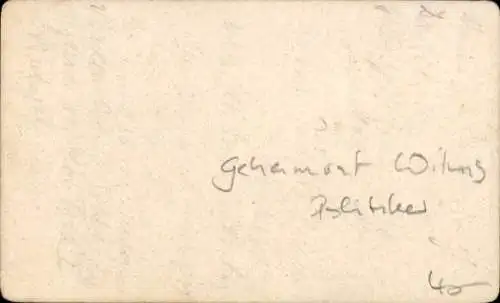 CdV Geheimrat Wilms, Politiker, Portrait