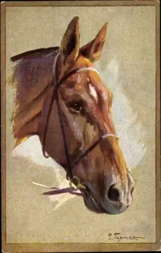 Künstler Ak Thomas, P., Pferdekopf