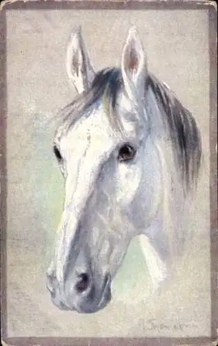 Künstler Ak Thomas, P., Weißes Pferd