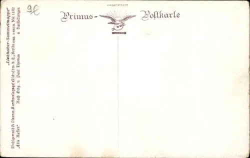 Künstler Ak Thomas, P., Weißes Pferd