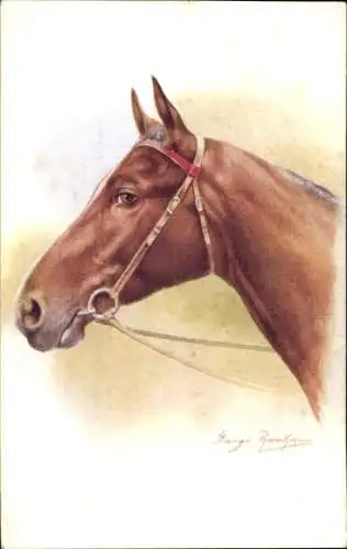 Künstler Ak Braunes Pferd, Zaumzeug