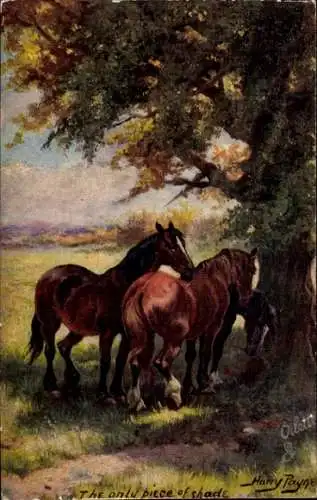 Künstler Ak Payne, Harry, Pferde, The only piece of shade
