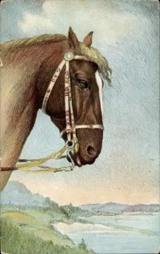 Ak Cotentin Normandie Manche, Pferd mit Zaumzeug vor hügeliger Landschaft mit Meerblick