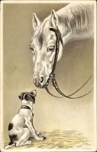 Künstler Ak Pferd grüßt Terrier, Freunde