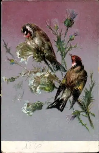 Ak Zwei Vögel auf einem Zweig, Reklame