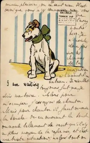 Künstler Ak Terrier mit Halsband, I am waiting