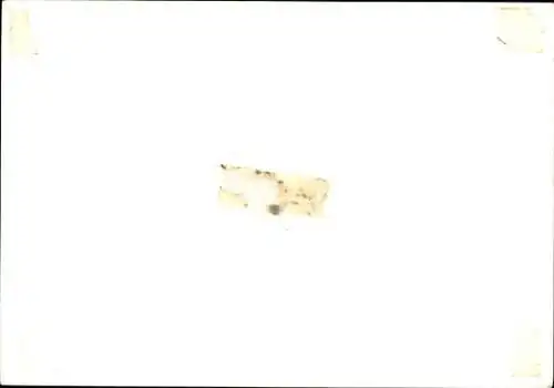 Foto Sänger Elvis Presley, Autogramm