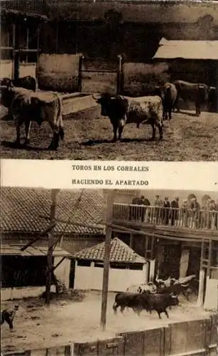 Ak Spanien, Stierkampf, Stiere vor dem Lauf im Gehege