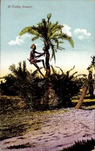 Ak Afrika, Mann am Baum, Palme