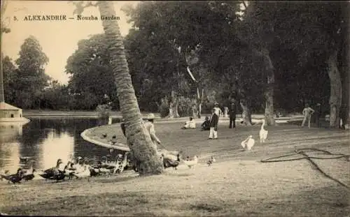 Ak Alexandria Ägypten, Nouzha Garten, Uferpartie, Enten