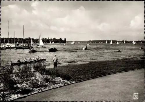Ak Berlin Zehlendorf Wannsee, Segelboote, Ruderer, Uferweg
