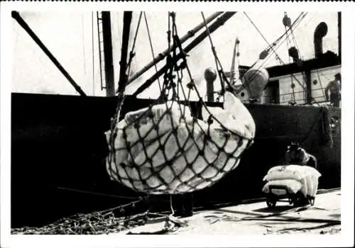 Ak Dampfer Koholyt, Mehlladen in Stettin, Reederei Poseidon