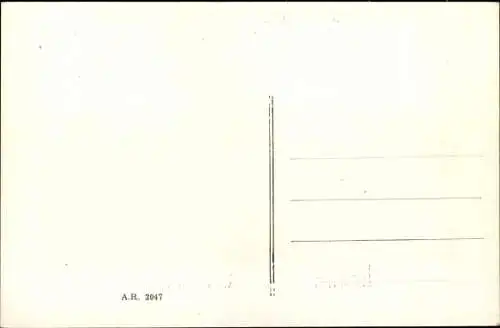 Ak Monoplan Tubavion, construit par Pouche et Primard, Flugzeug
