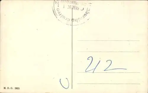 Ak Betrunkener Mann, Schwein