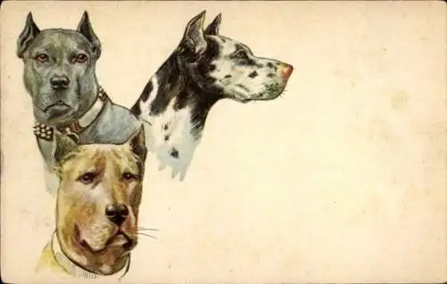 Künstler Ak Drei Hunde, Tierportrait
