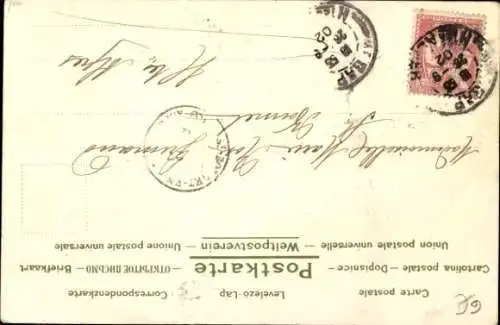 Ak Grasende Pferde, Portrait