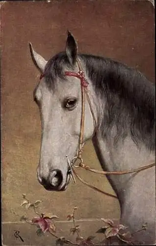 Künstler Ak Pferd, Portrait, Seitenansicht