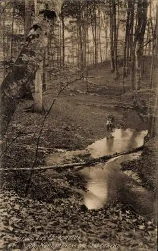 Ak Eberswalde in der Mark, Nonnenfliess bei Liesenkrüz