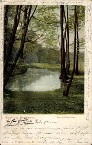 Ak Eberswalde in Brandenburg, Wald am Nonnenfliess