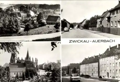 CdV König Albert von Sachsen, Portrait als Kronprinz