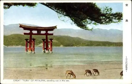 Ak Insel Miyajima Hatsukaichi Präfektur Hiroshima Japan, Torii Tor mit Wasser, Wasserflächen, ...