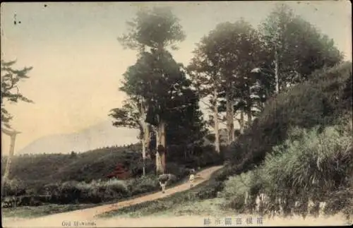 Ak Hakone Kanagawa Japan, general view of the landscape