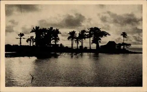 Ak Conakry Guinea, Blick auf Palmen, Wasser, silhouette eines Hauses, Abendstimmung