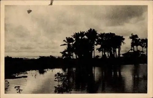 Ak Conakry Guinea, Küstenlandschaft, Palmen, Wasserreflexion, Abendstimmung, schwarz-weiß