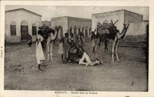 Ak Djibouti Dschibuti, Kamele, Menschen, ländliche Szene, Rückkehr aus der Brousse