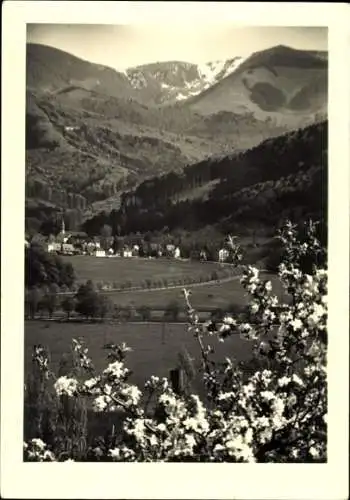 Ak Freiburg im Breisgau, Schauinsland