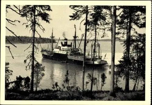 Ak Dampfer Elbing, Reederei Poseidon, Ladung von Holz in Südfinnland