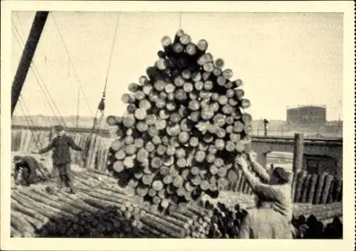 Ak Dampfer Fritz Schoop, Übernahme von Grubenholz im Königsberger Hafen, Poseidon-Reederei