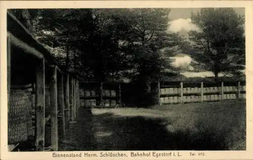 Ak Egestorf in der Lüneburger Heide, Bienenstand Herm. Schlüschen